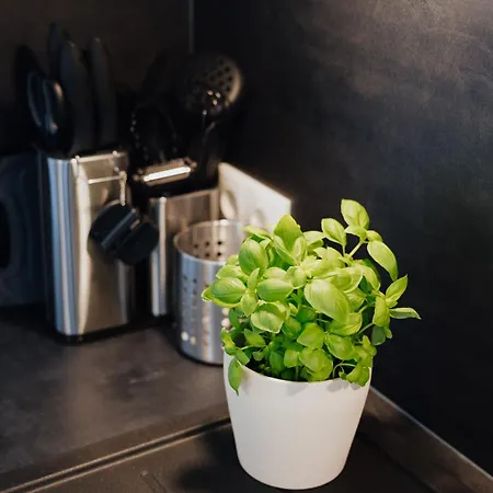 Apartamento Nah Hamburg 3zi 5p Stilvoll Saniert Und Voll Ausgestattet *